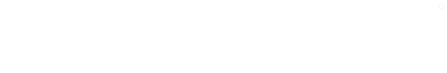 Vuzix